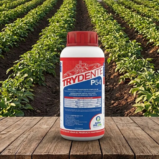 TRYDENTE P54