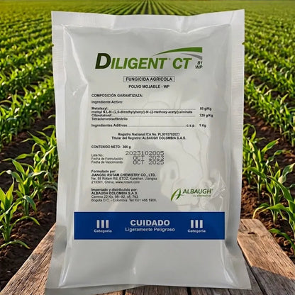 DILIGENT CT® 81 WP